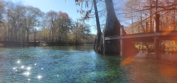 Last Ichetucknee Dock, right bank, 14:06:20, 29.9327060, -82.8000878