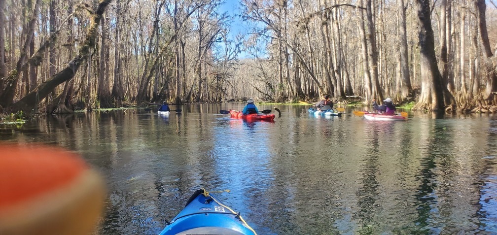 Follow the blue sky canopy water trail, 11:35:31, 29.9638452, -82.7640995