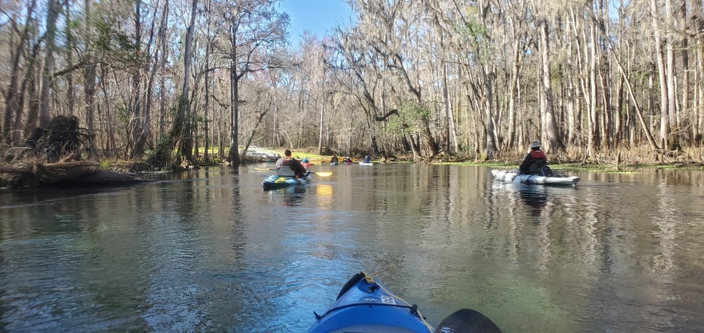 Dampiers Landing, left bank, 11:47:22, 29.96075, -82.7700326