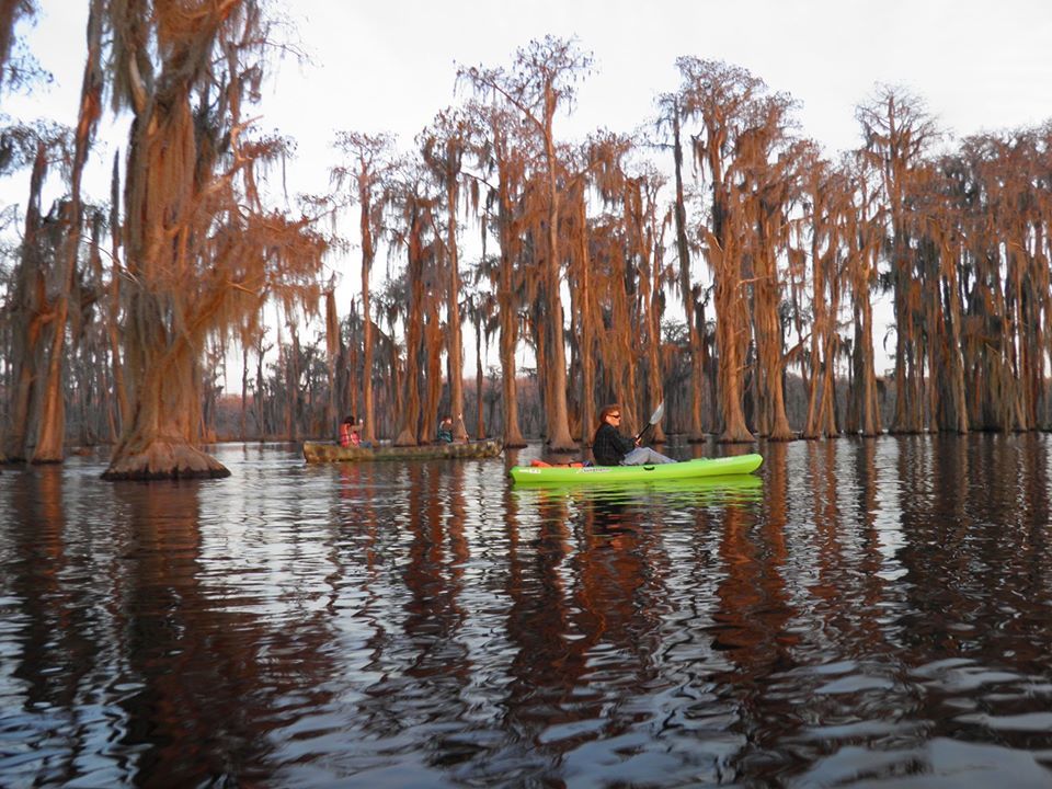 Camouflage canoe