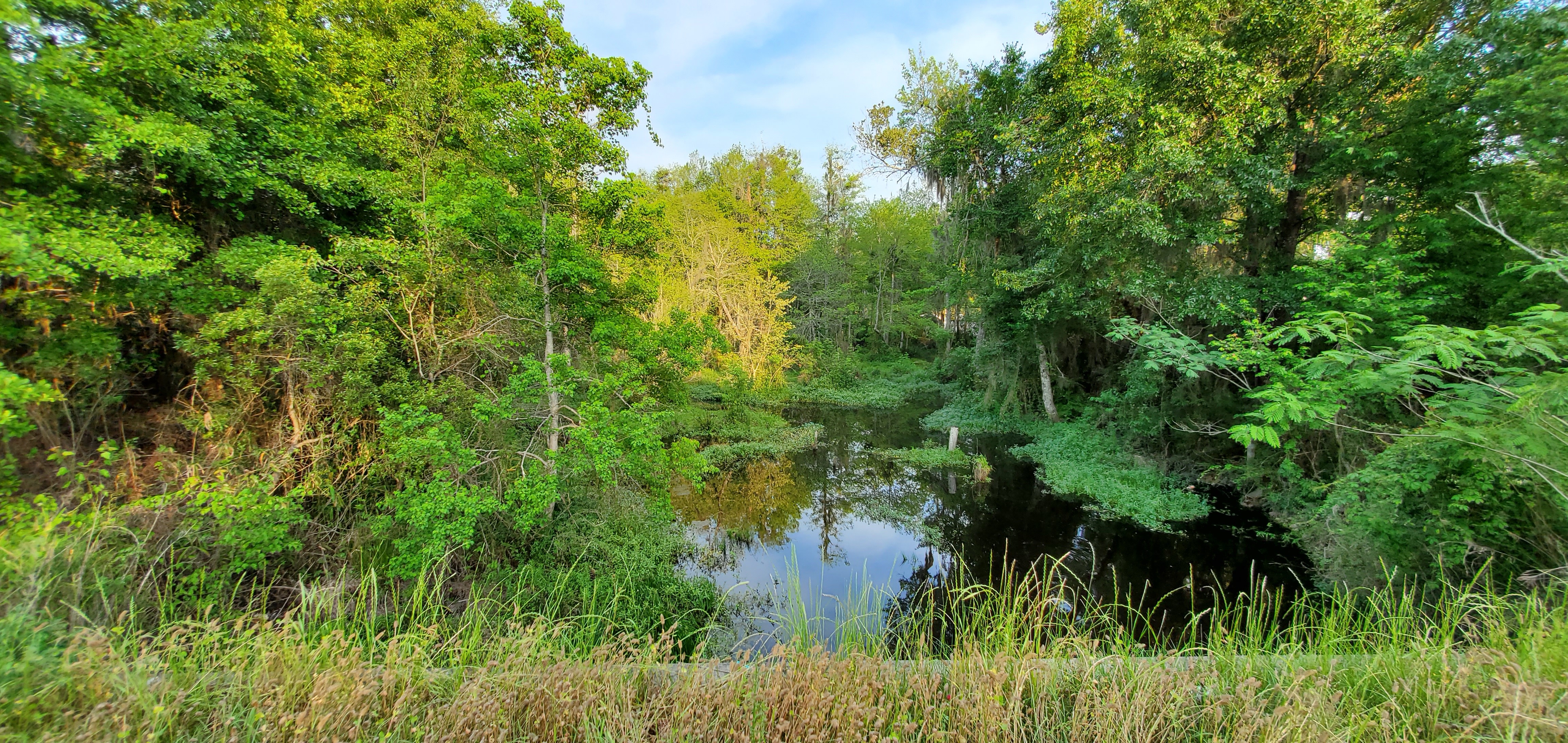 Upstream, Cherry Creek