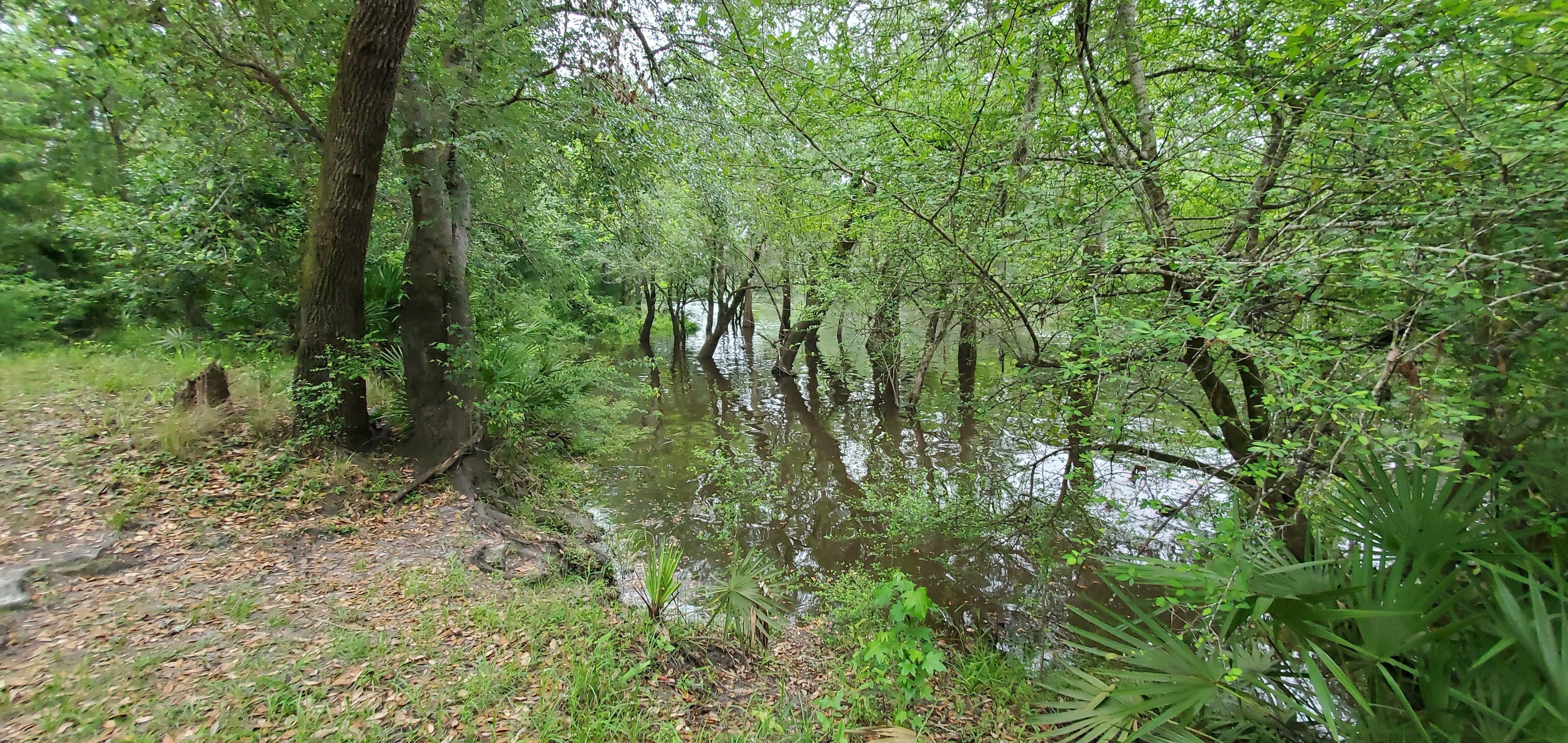 Downstream at Knights Ferry