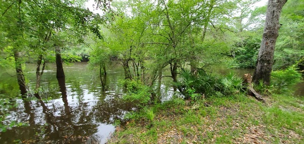 Upstream at Knights Ferry