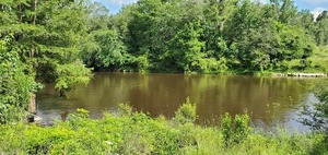 [Withlacoochee River]