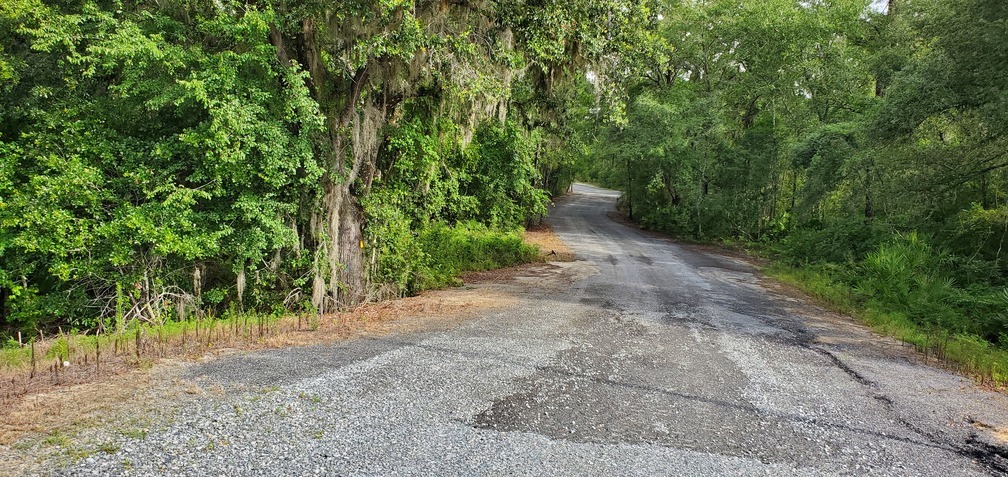 Entrance driveway by Lowndes County Engineering