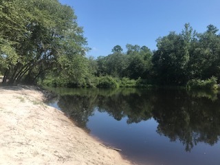 Naylor Beach