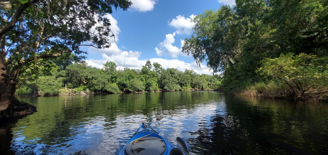 Suwannee River from Bethel Creek, 2020:07:18 16:32:03, 30.2542089, -83.2536671