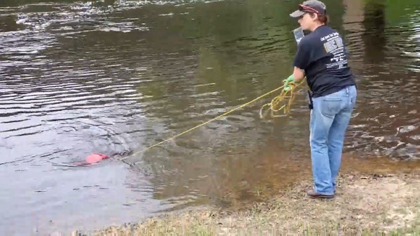 [Suzy Hall sampling at Nankin Boat Ramp 2020-04-18]