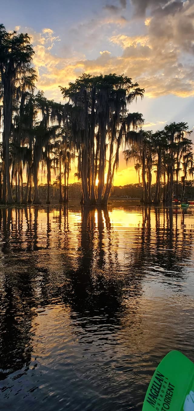 Cypress sunset