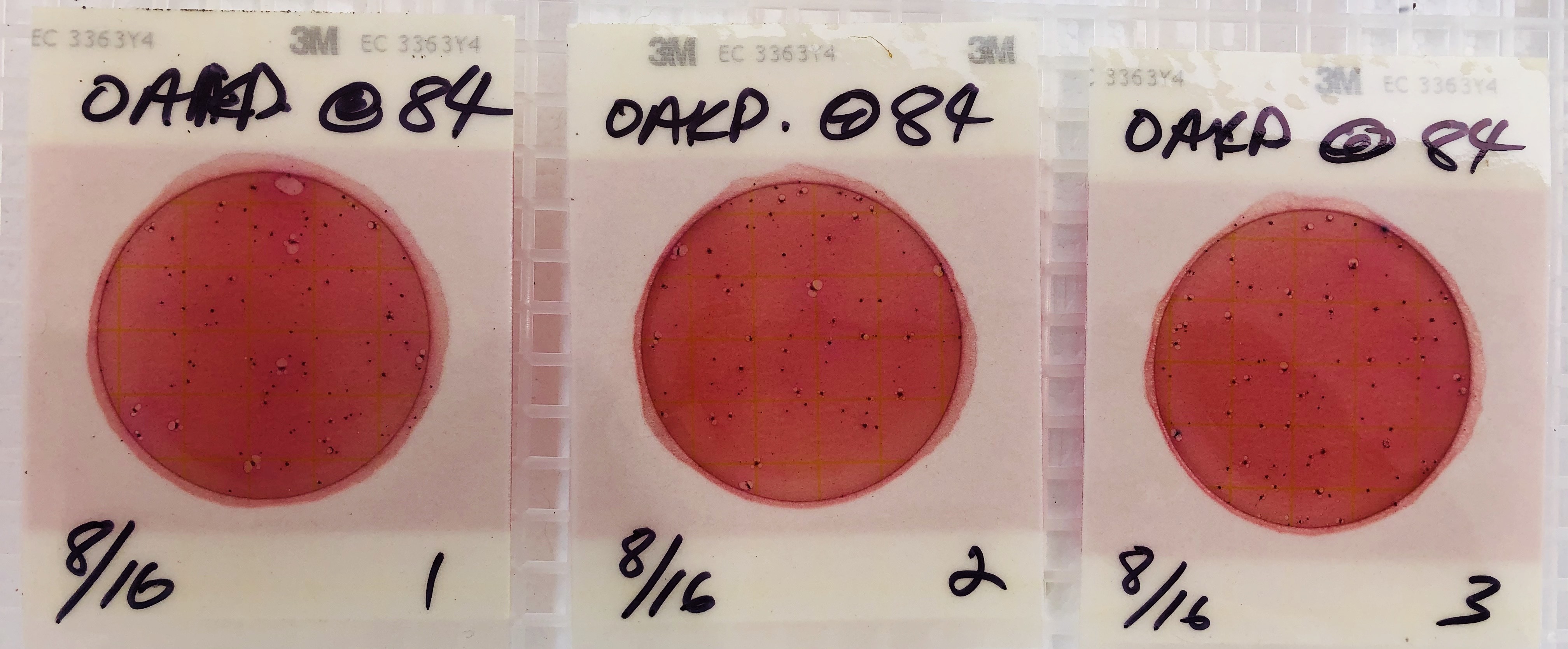 66 cfu/100 mL, Okapilco Creek @ US 84