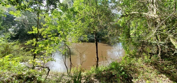 Fast Withlacoochee River