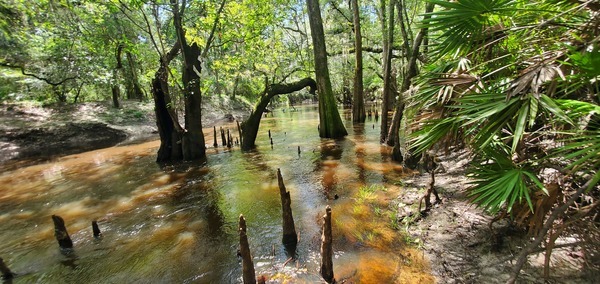 Downstream view