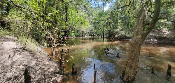 Upstream view