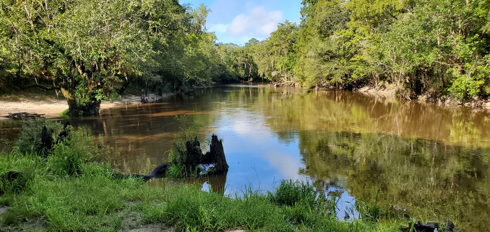 Withlacoochee River, left and downstream, Little River on right