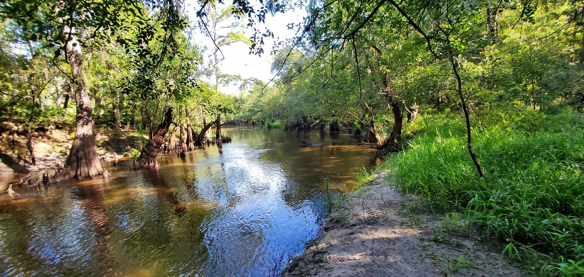 Looking downstream at possible paddle takeout