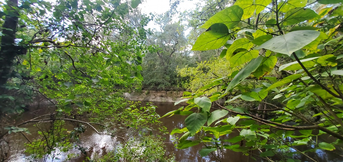 Across the Withlacoochee River