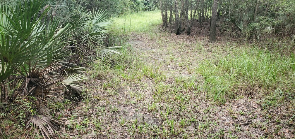 Likely road east to easement