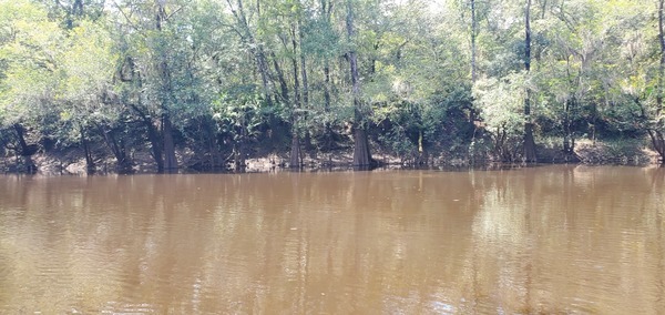 Across, Knights Ferry Boat Ramp