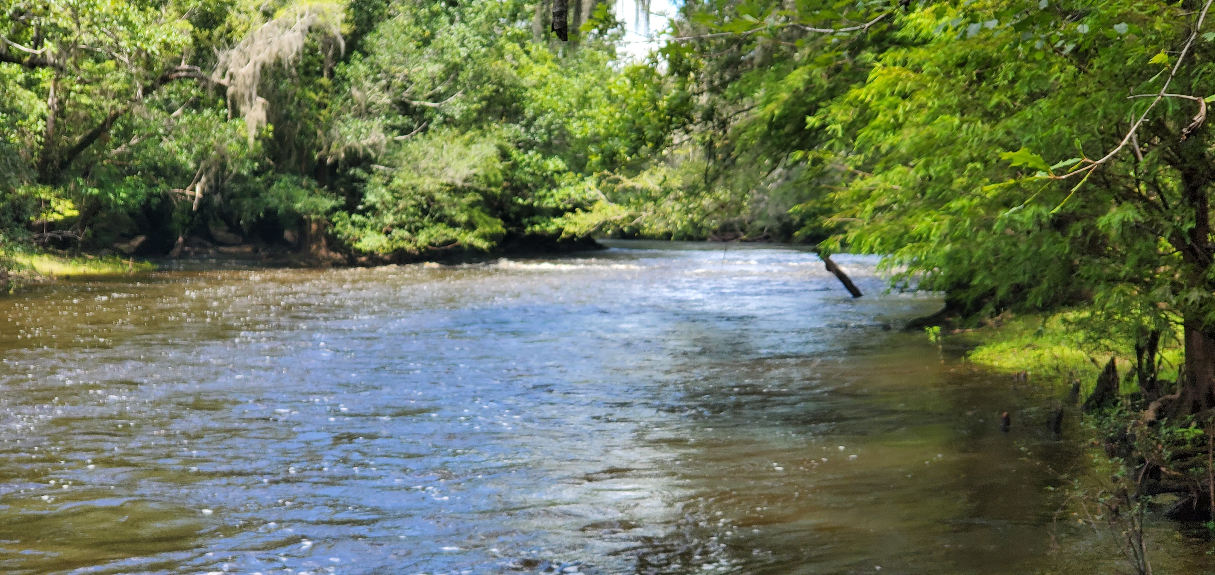 Upstream rapids, Nankin Boat Ramp