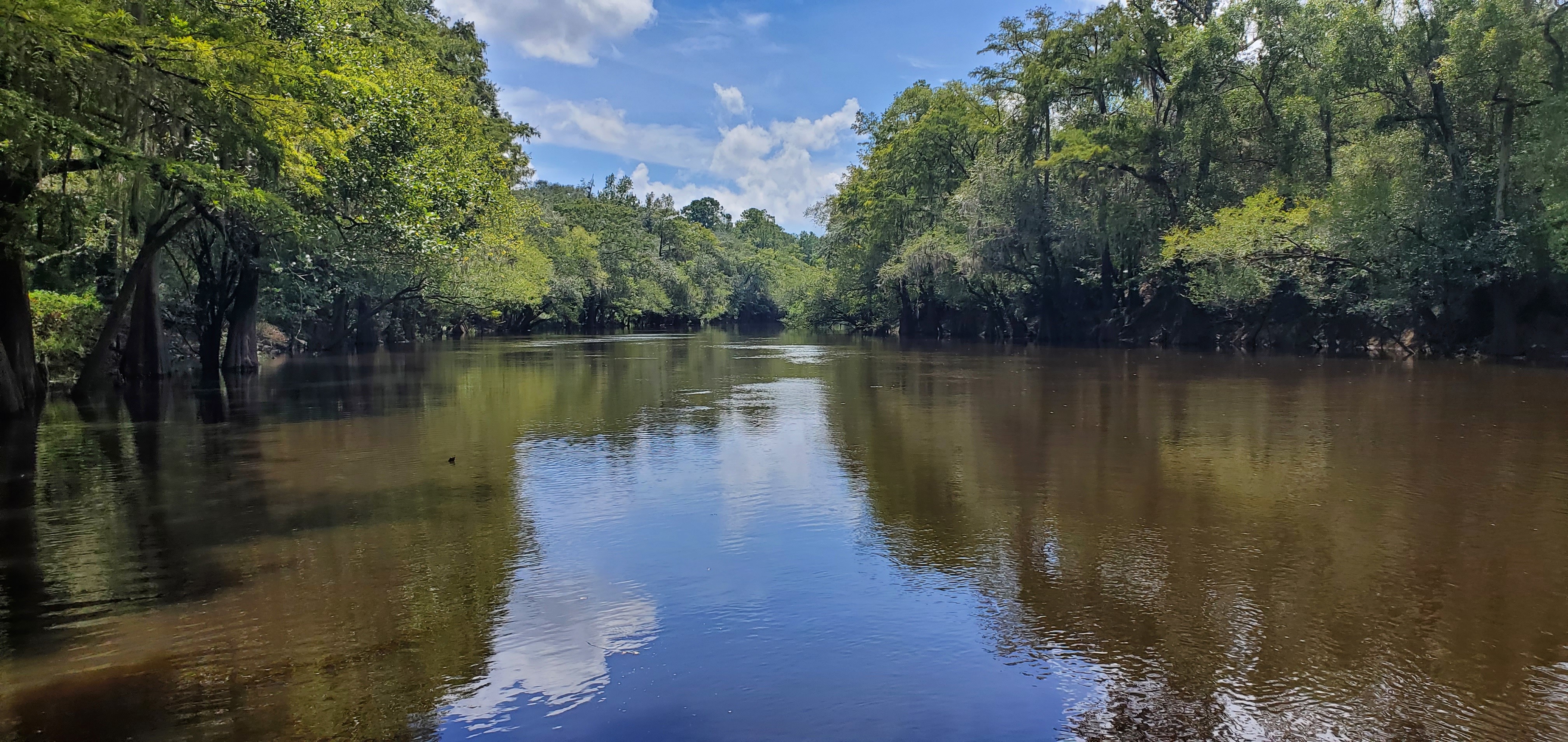 Downstream, Knights Ferry Boat Ramp