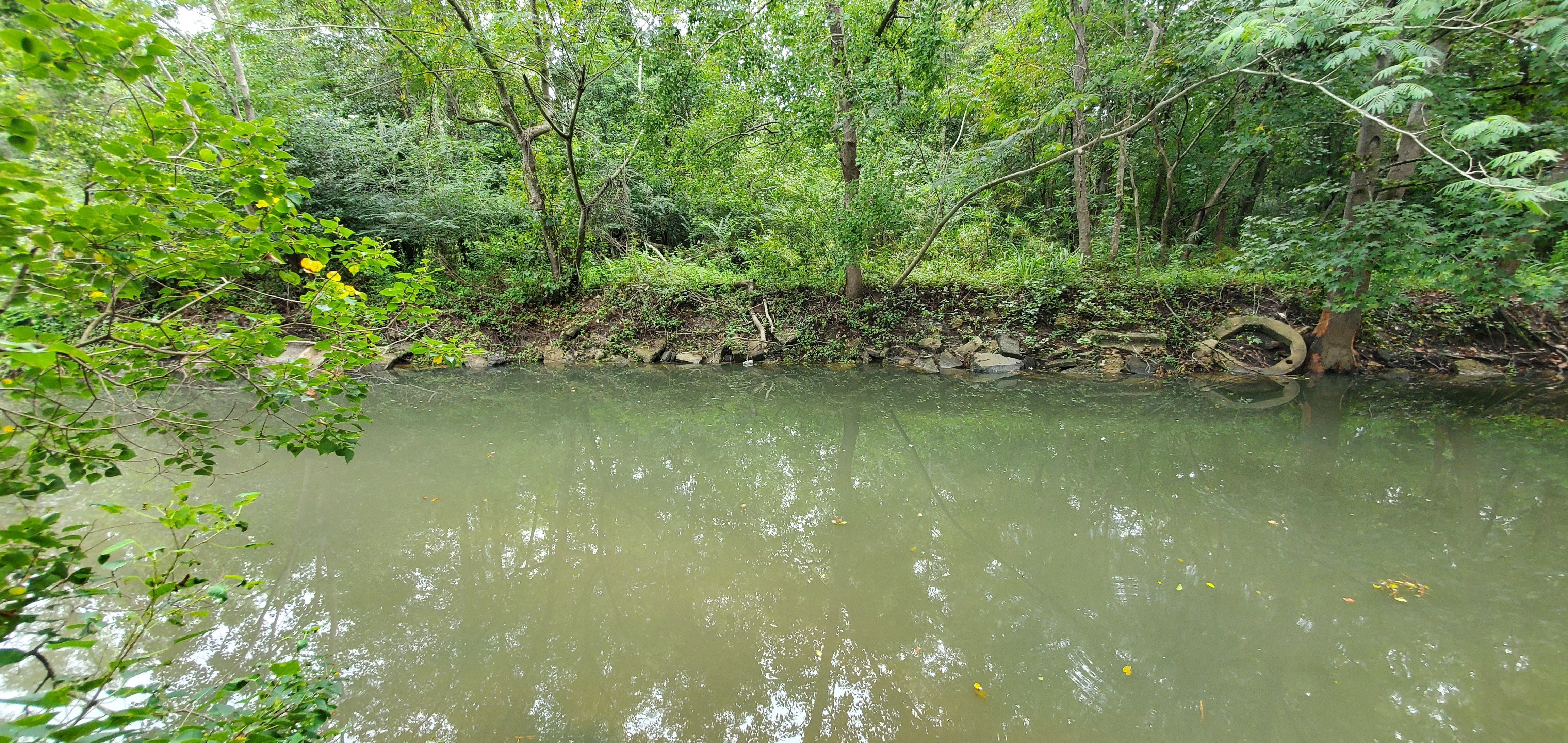 Across Sugar Creek