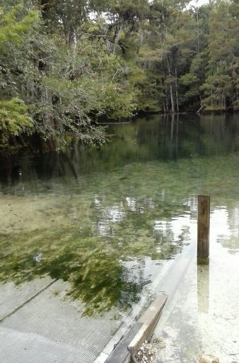 Manatee Springs State Park Launch 2020-09-14