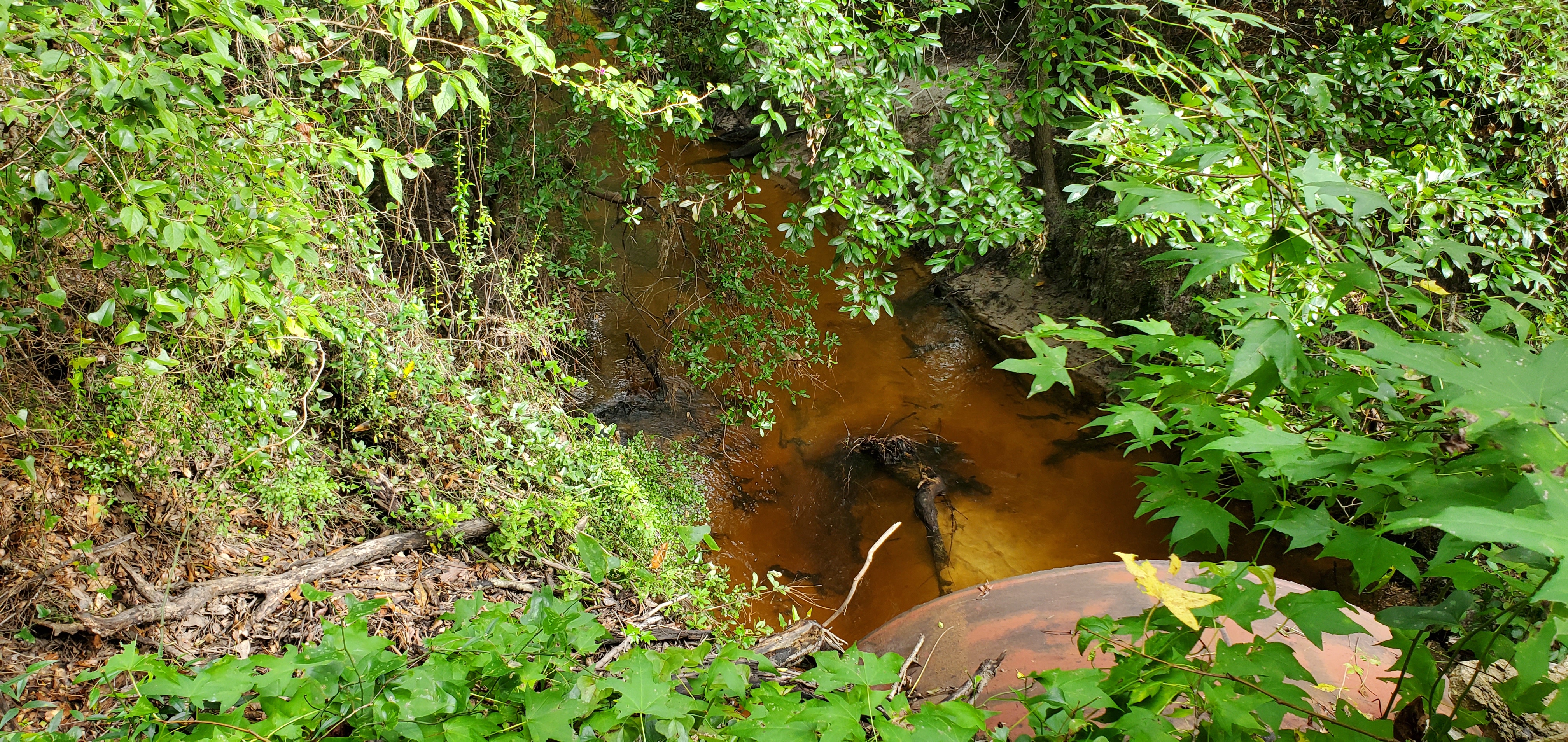 Upstream closeup, 09:43:09, 30.6702617, -83.3490874