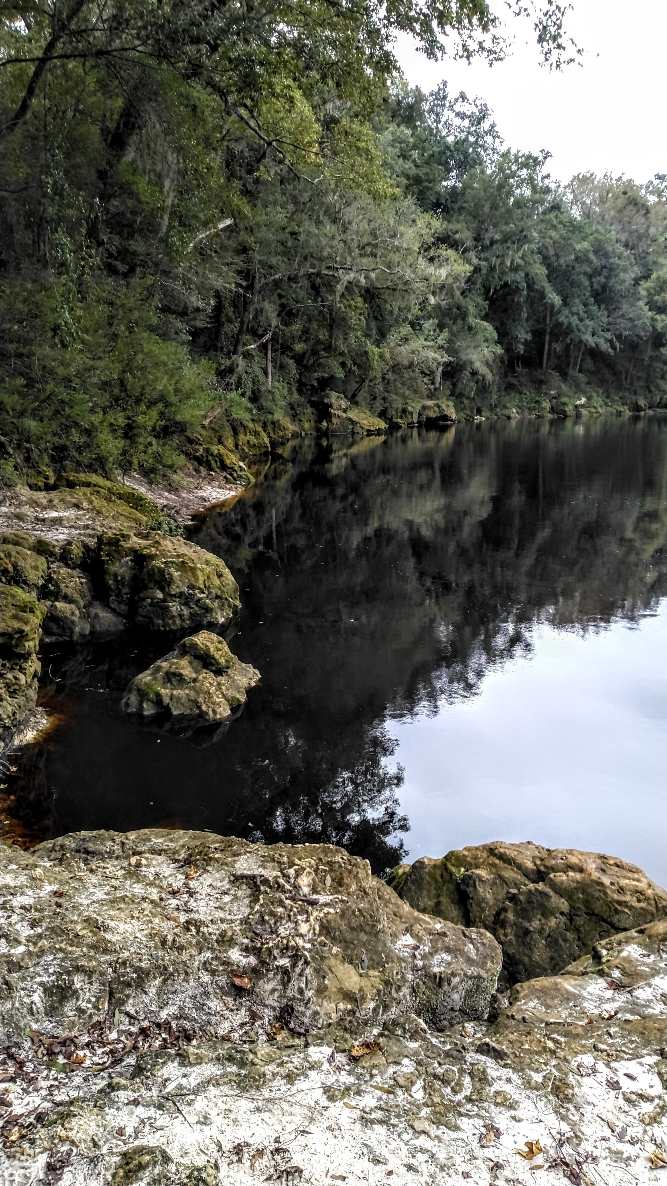 Downstream, Anderson Spring, Suwannee River