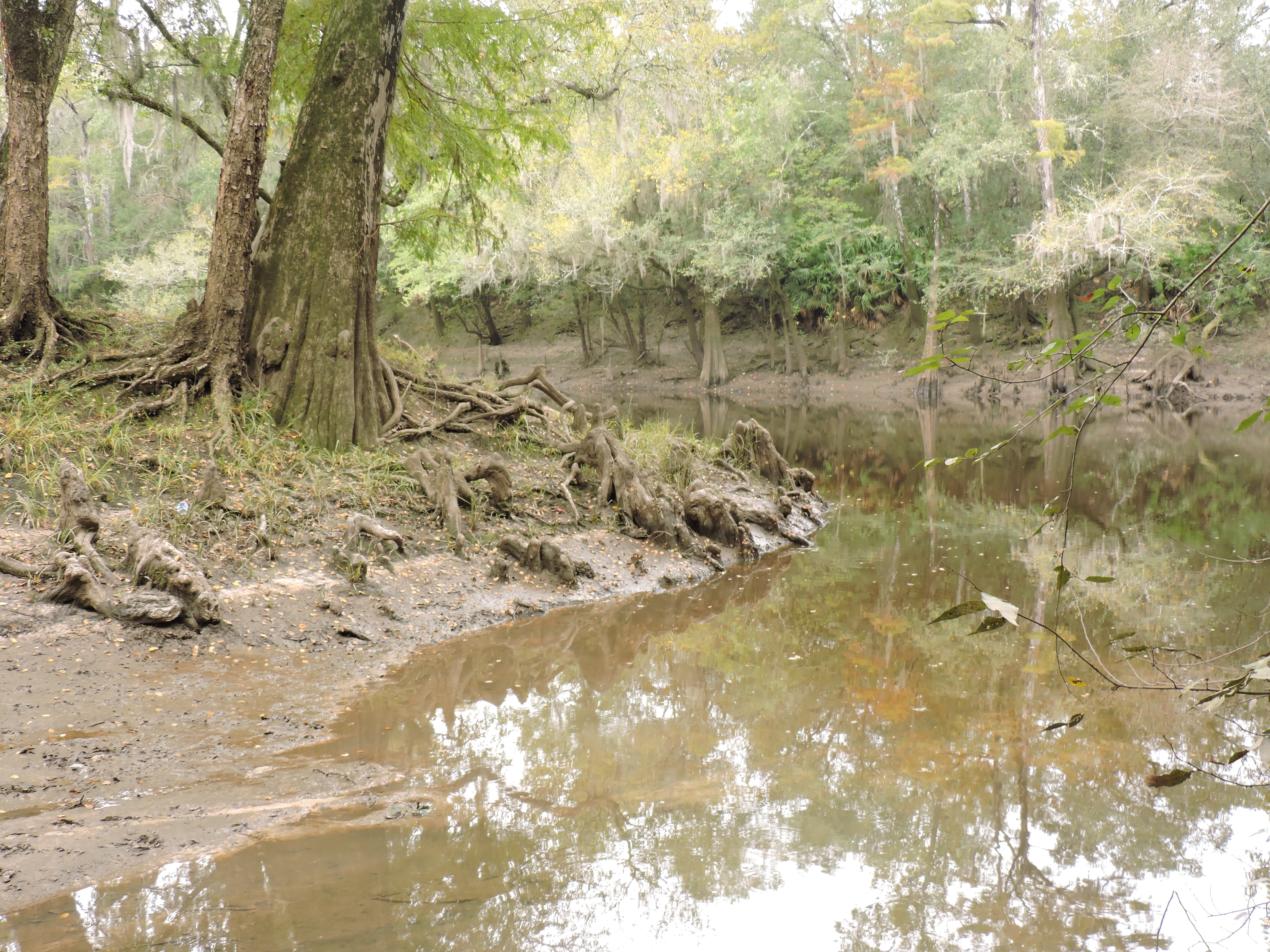 2020-10-08 downstream Knights Ferry