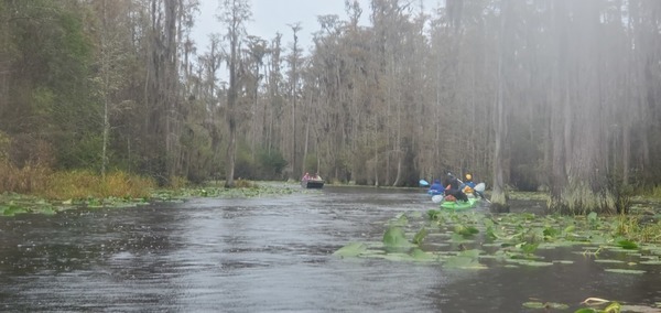 [Traffic jam, Middle Fork, Suwannee River, 11:16:01]