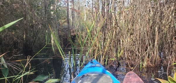 Beaver house? 14:41:24