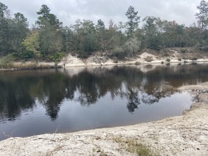 [Downstream, Naylor Beach, Alapaha River]