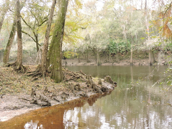 Knights Ferry Boat Ramp 2020-11-12