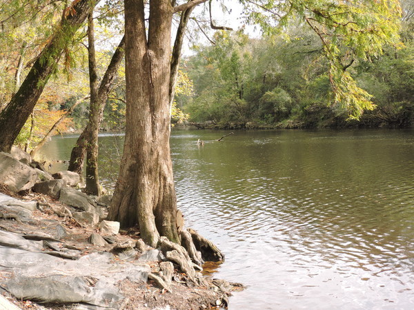 Stateline Downstream 2020-11-12