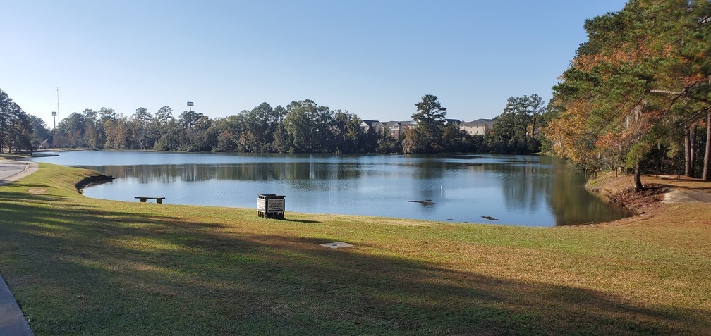 Lake Sheri with The Grove Apartments in background, 10:23:06, 30.8522440, -83.3289130