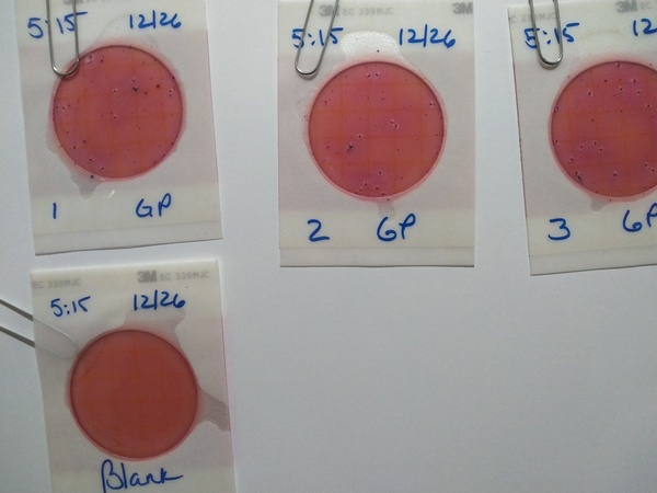 100 cfu/100 mL, Gibson Park