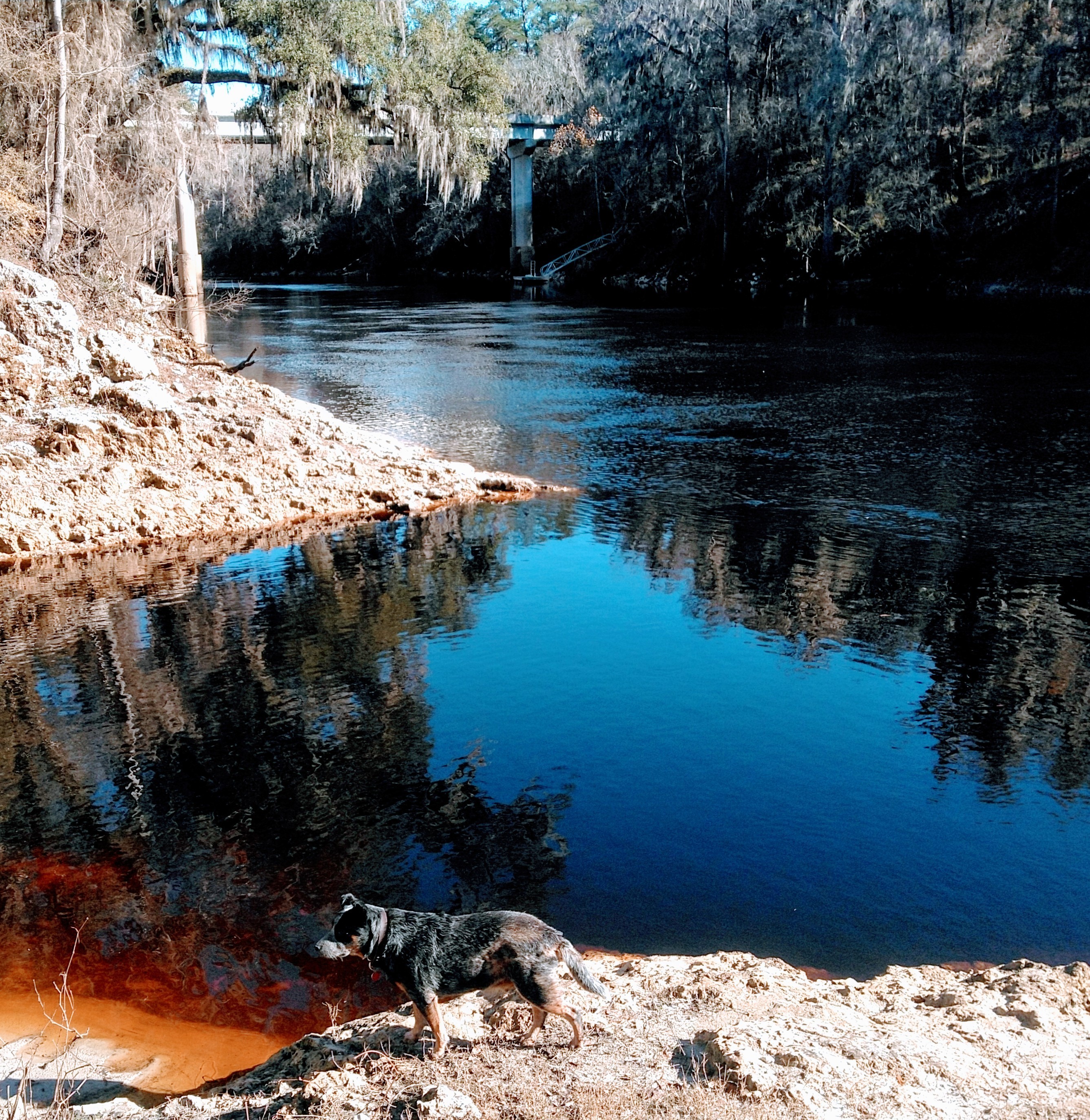 Upstream, Gibson Park