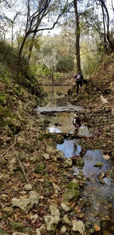 Distributary to River with Hiker --Susan Liden