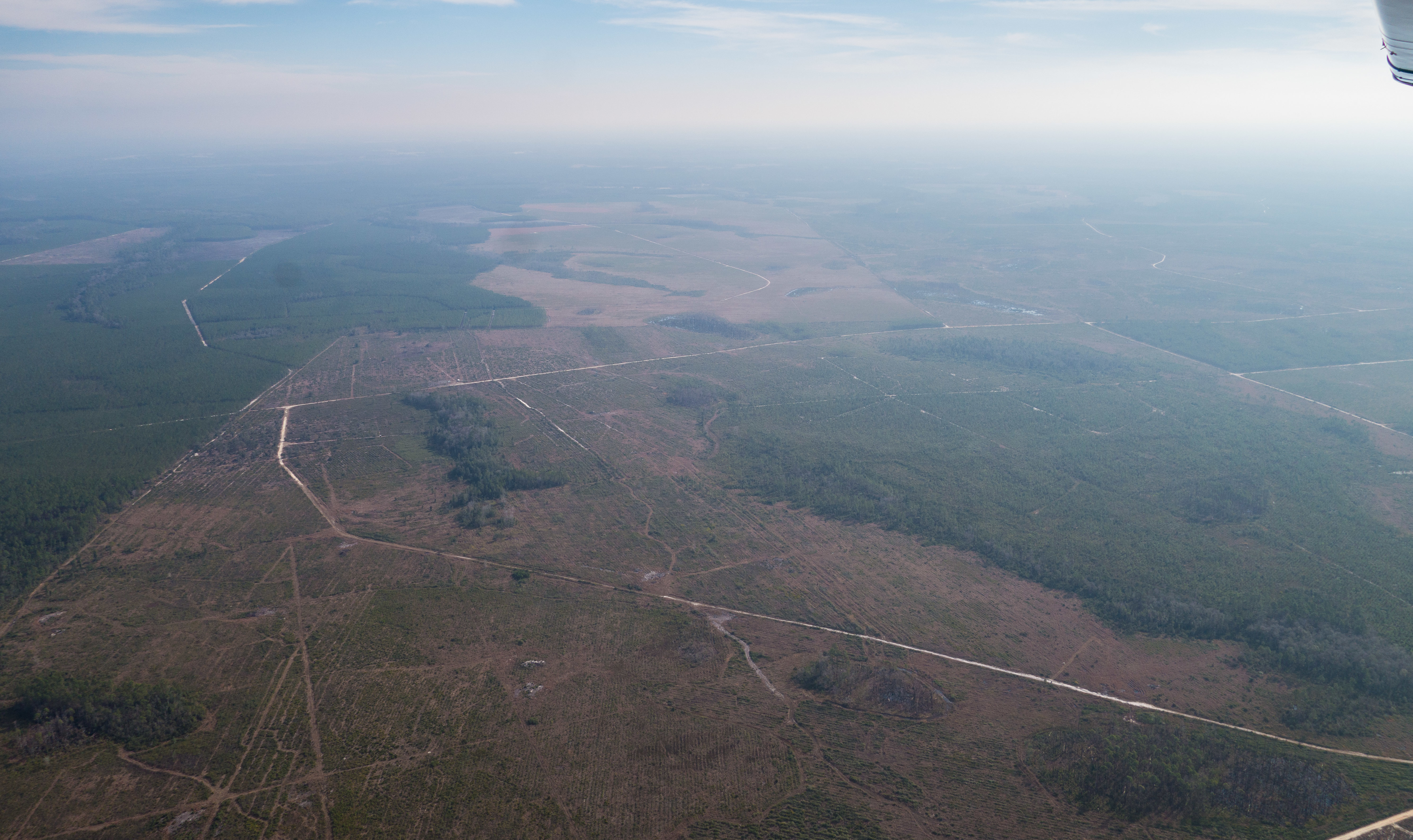 E: across TPM north border, Swamp Perimeter Road to Trail Ridge Road, 30.584368, -82.137922