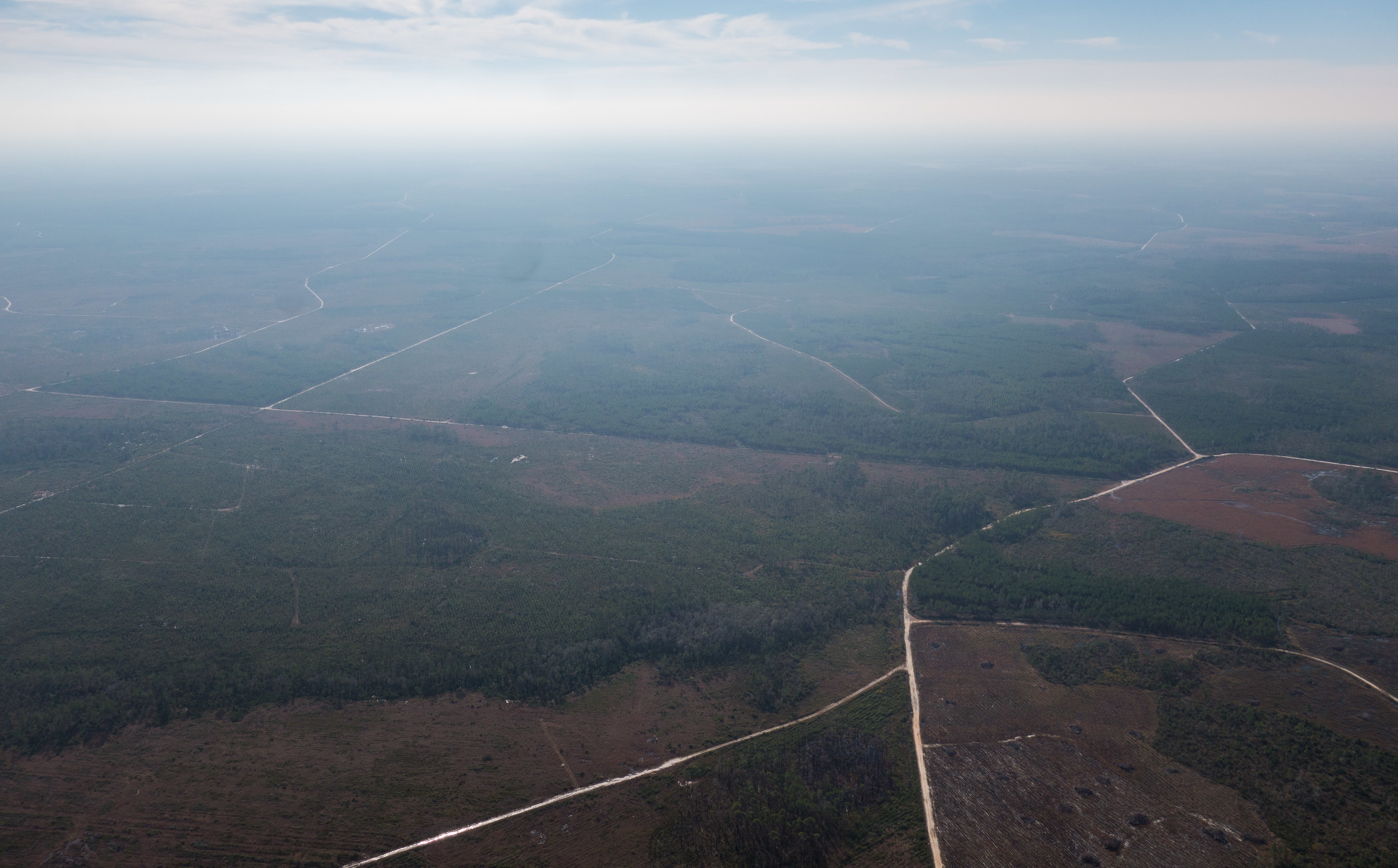 S: above NW corner TPM mine land, Swamp Perimeter Road, across Coyote Loop; ONWR is on right, 30.58738,-82.13832