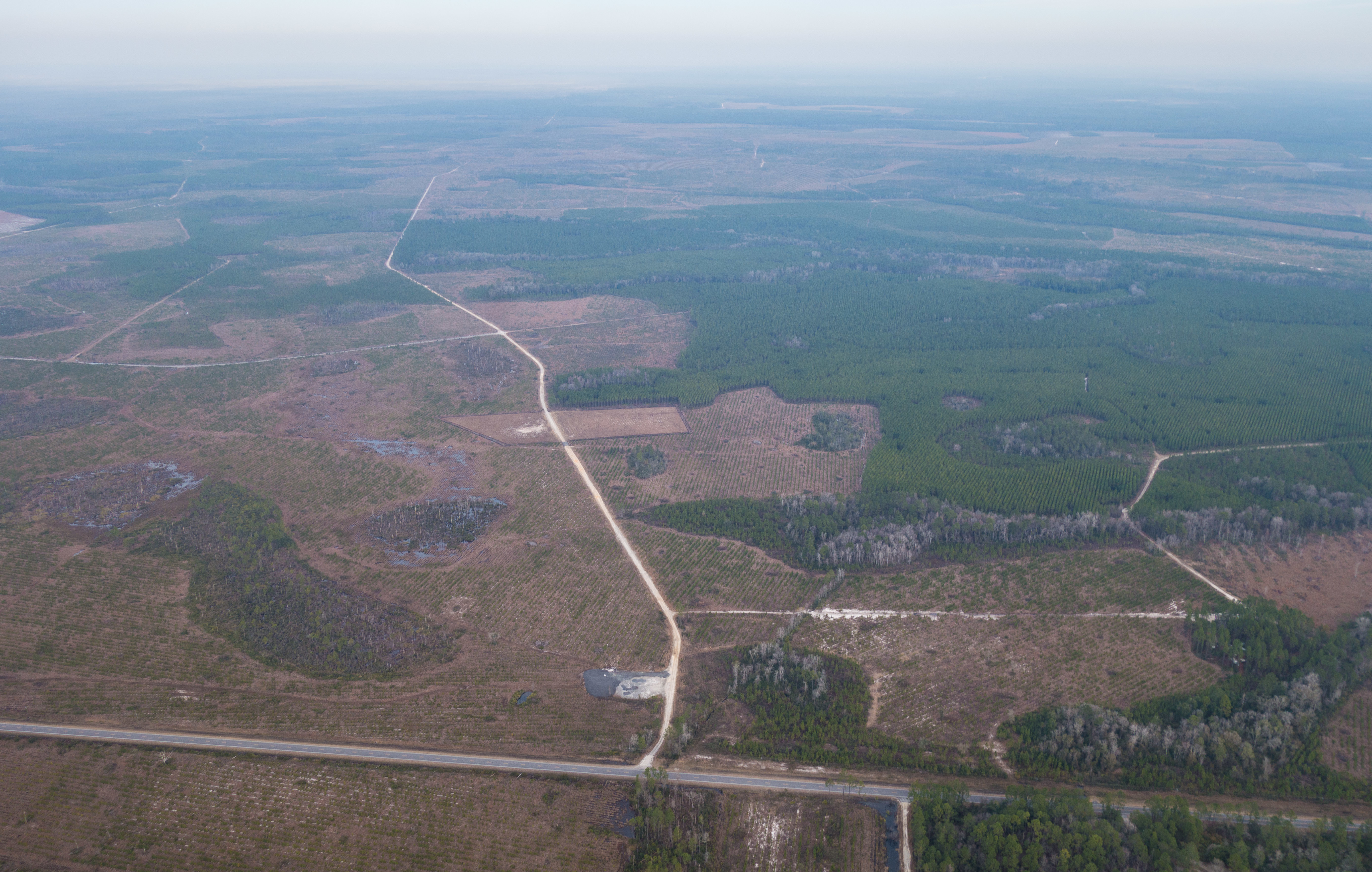 Two excavations on Trail Ridge Road, 30.516331, -82.101694