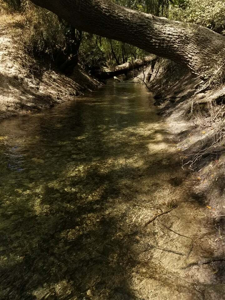 Sullivan Slough