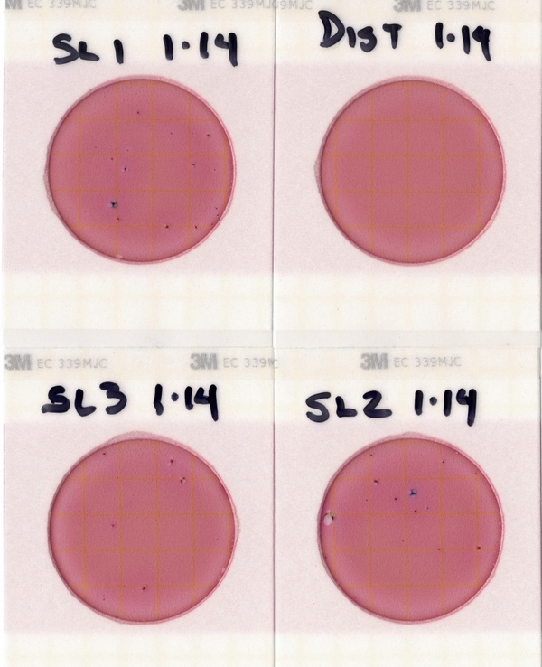 Stateline Plate Images 2021-01-14