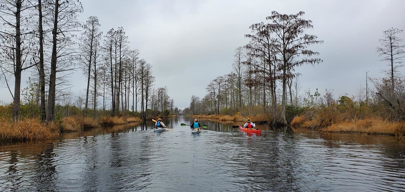 Suwannee Canal