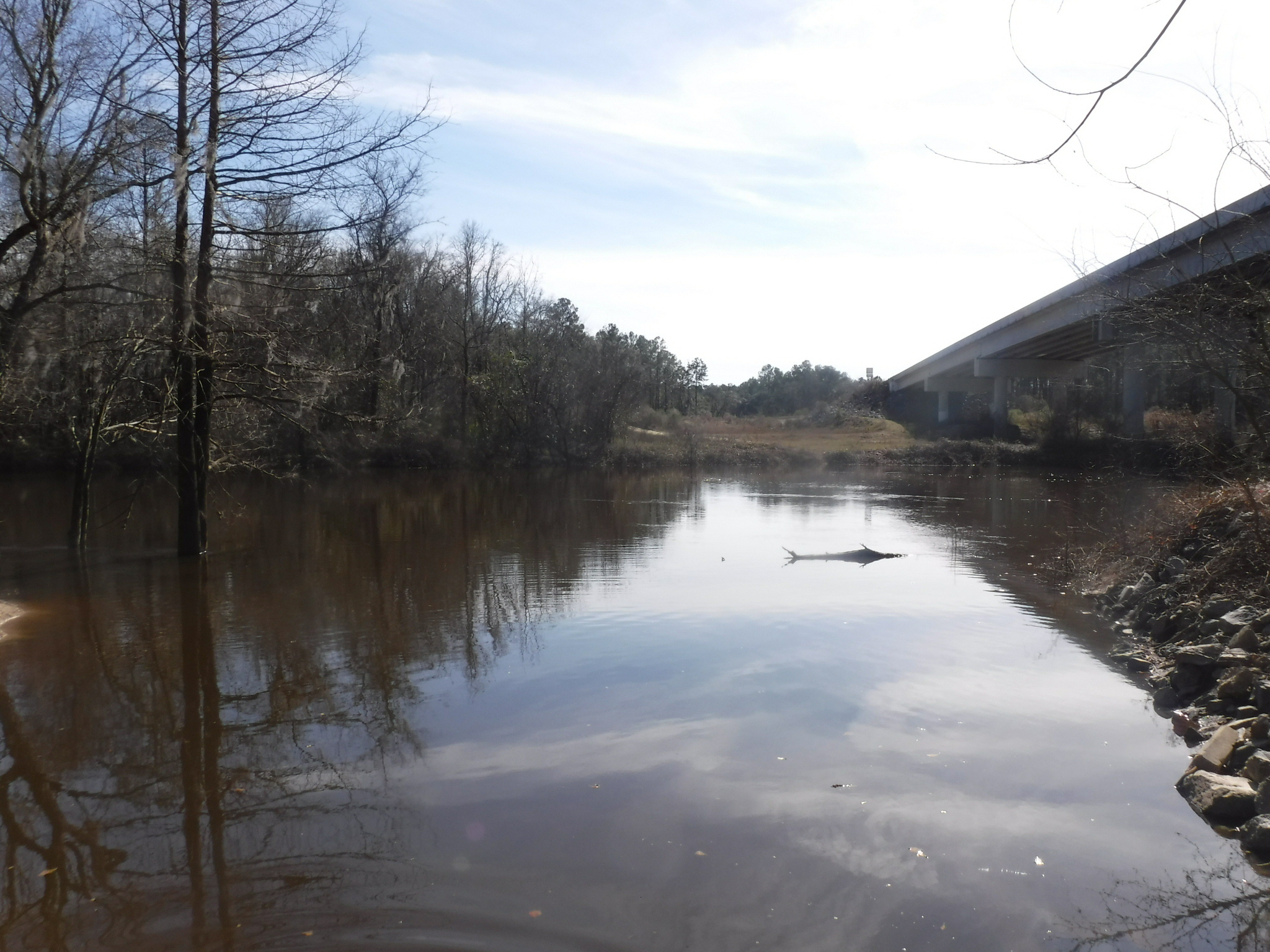 Log, not gator