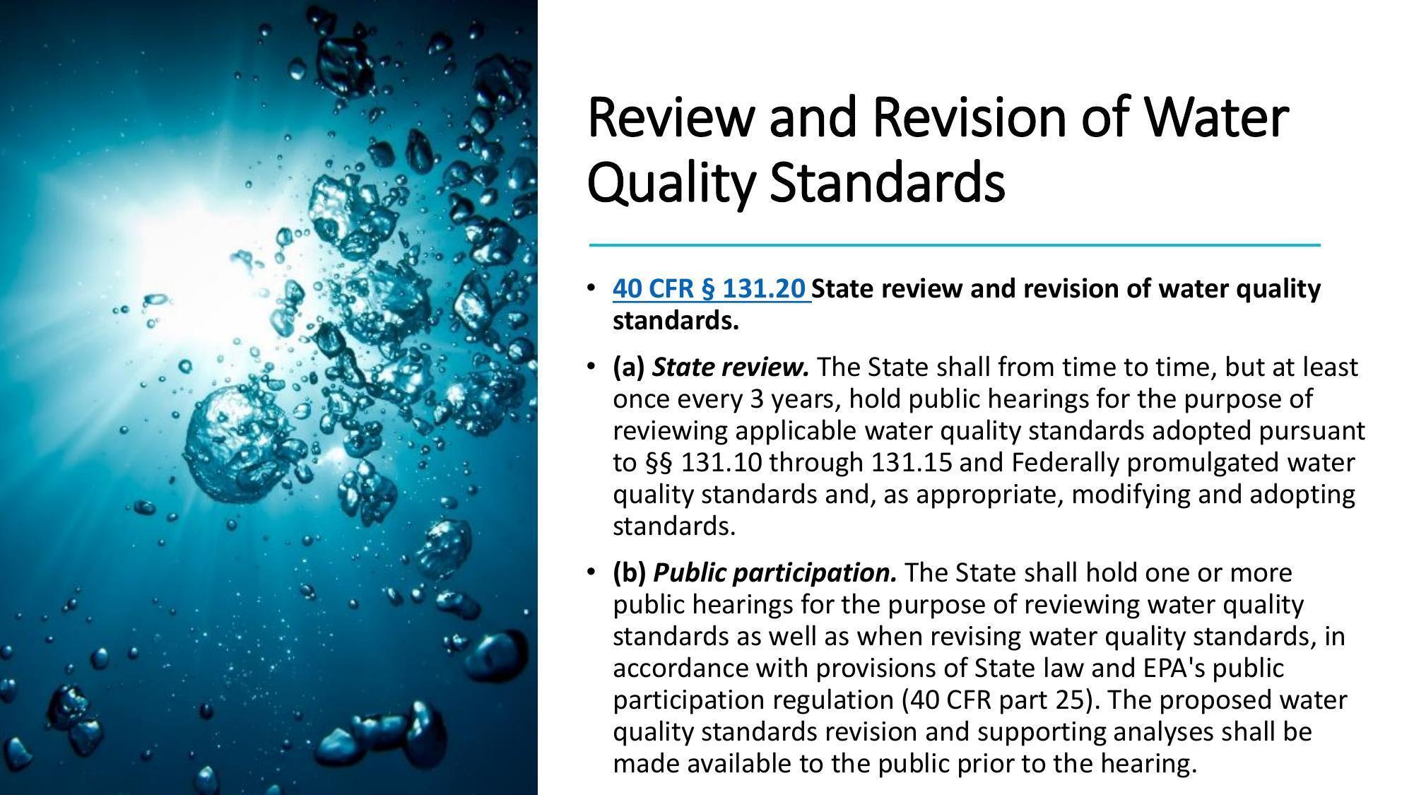 State review and public participation