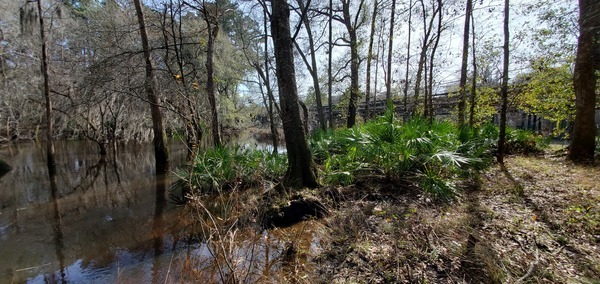 Upstream to US 41 bridge