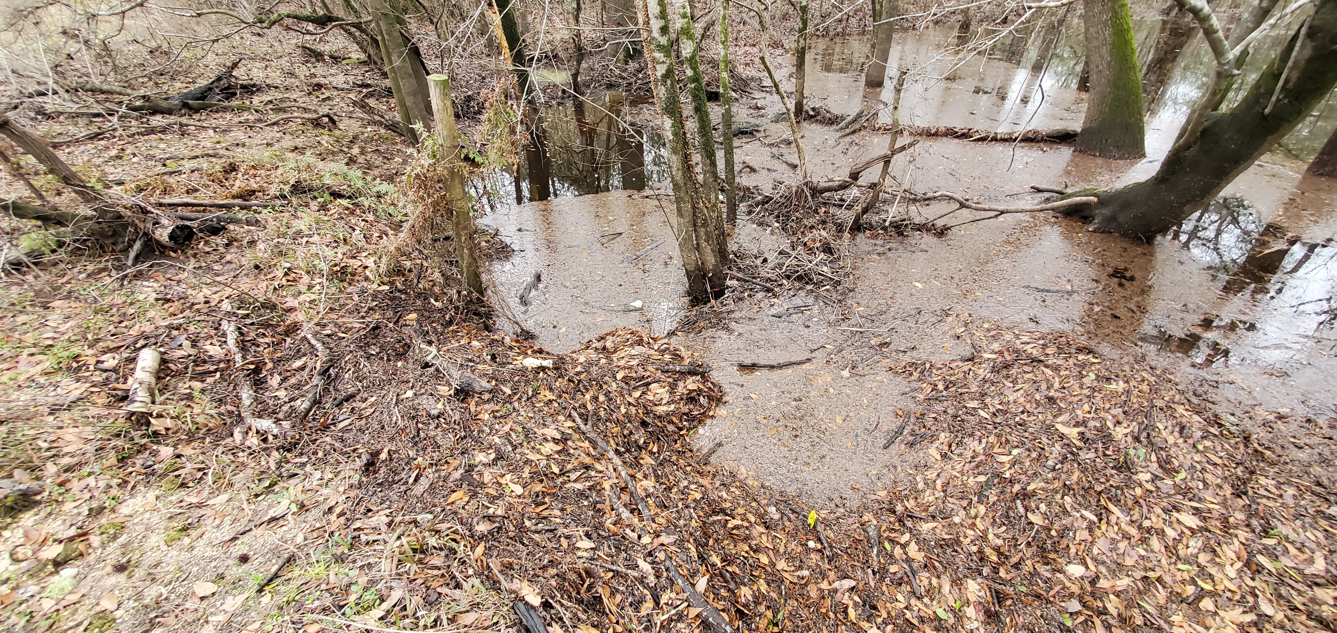 Toms Branch Culvert, north side, Frankinville Road, 12:08:03, 30.9822569, -83.2649528