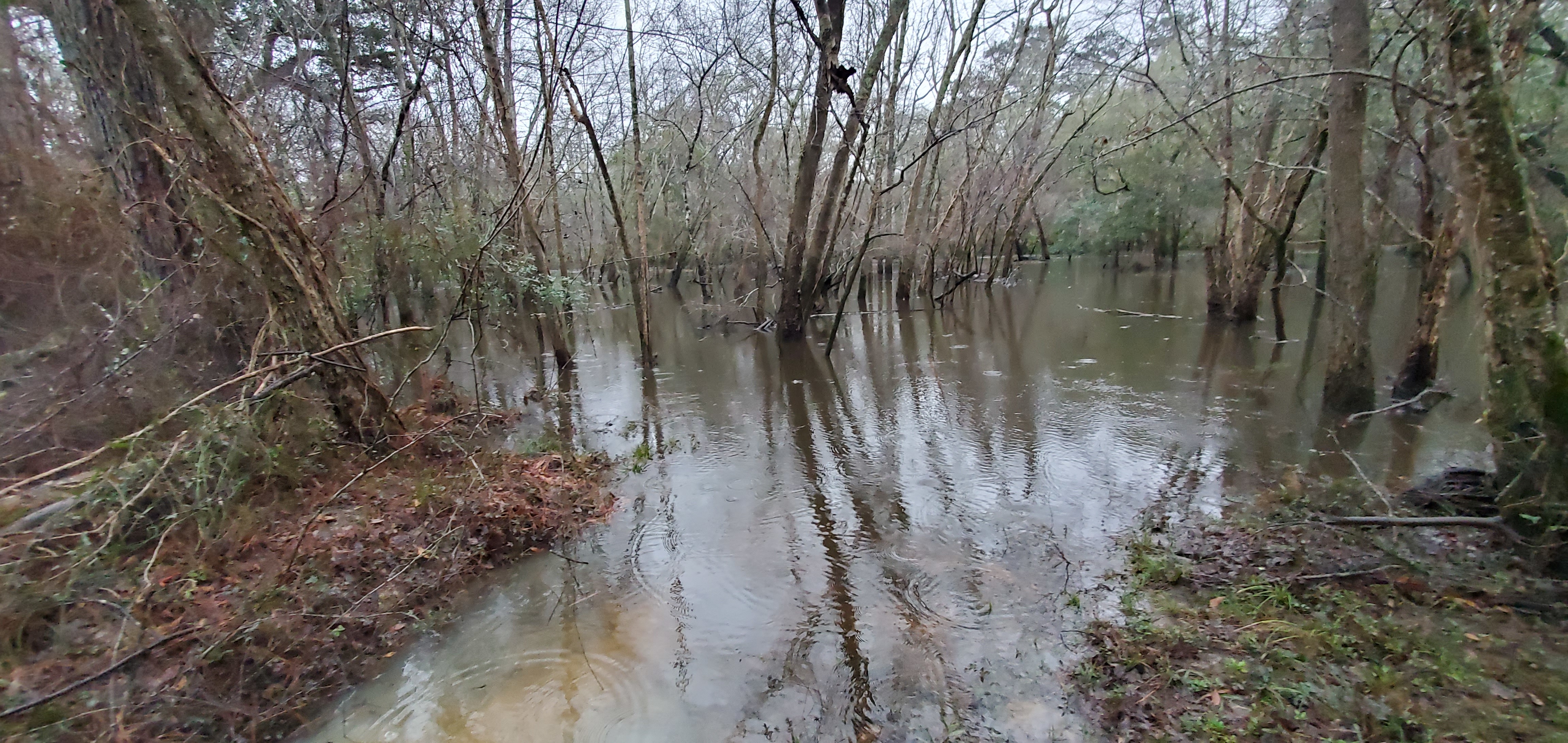 The low road underwater, 17:46:35, 30.8908273, -83.4077815