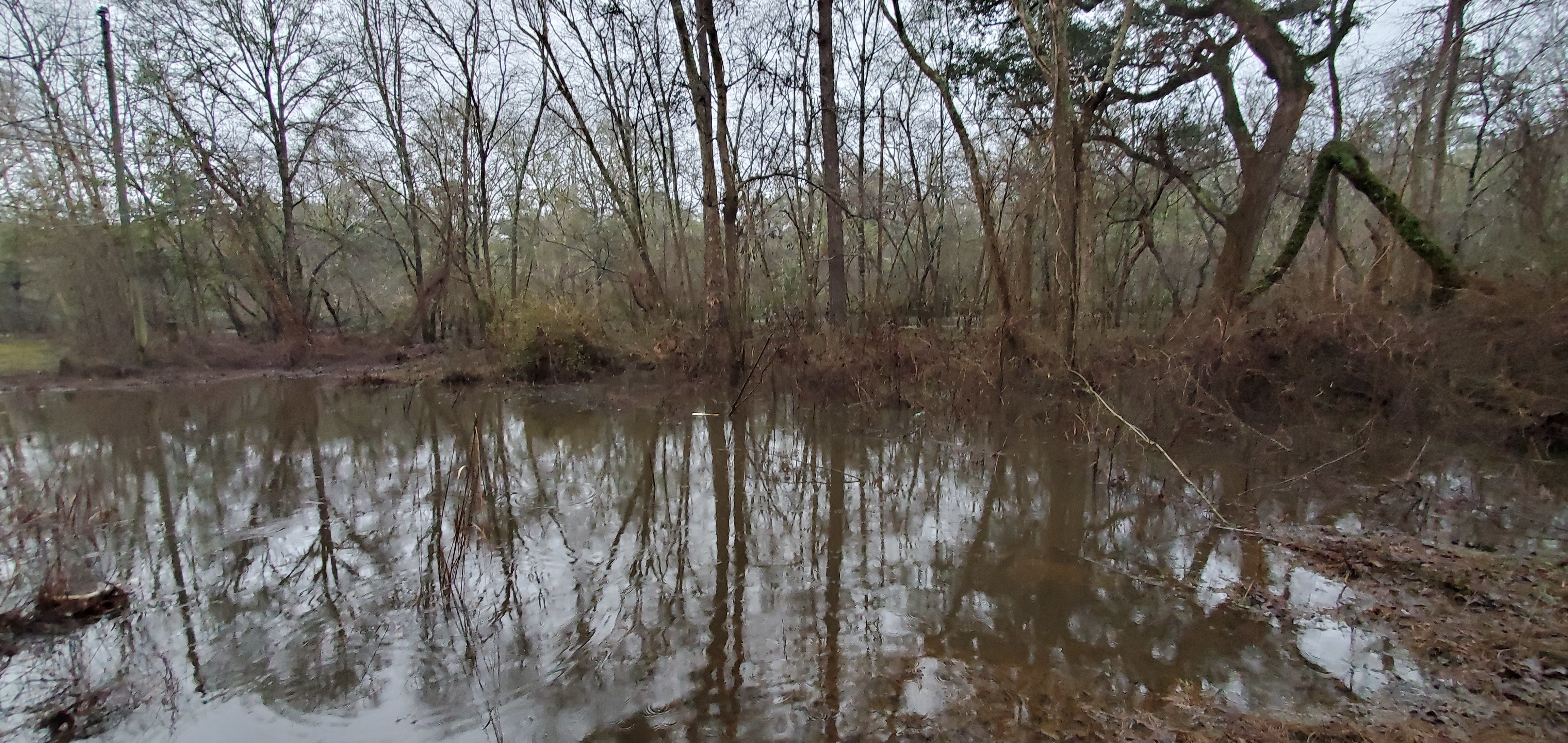 River up in top middle of the acre, 17:48:16, 30.8907119, -83.4073221